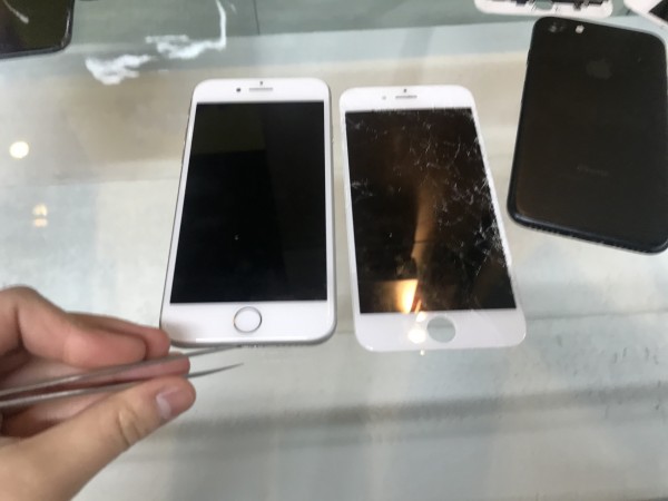 6791bf0eec0e5e991241e41d805ef0c8_1619162971_6134.JPG